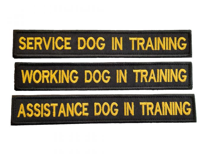 Dog-in-training-patches
