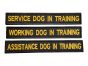 Dog-in-training-patches