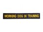 working-dog-in-training