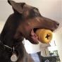 Mutts Kick Butt Bacon Double Cheeseburger Toy