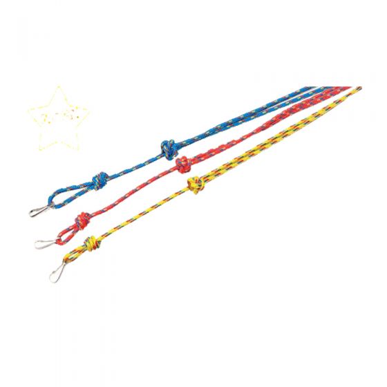 Multicoloured Lanyards by Bisley