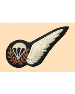 RAF Parachute Instructors Half Brevet Badge
