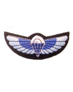 Special Air Service SAS Colour  Wings