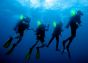 12 Hour 6” SnapLight (15cm) lightstick (Cyalume® Branded) diving
